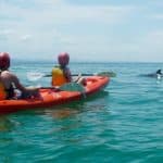 Kayaking Tour Byon Bay