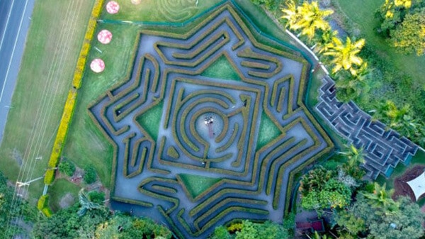 maze in garden